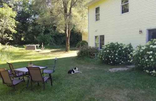 Hastings Apartment | Charming 2-bedroom apartment with outdoor hot tub in rural area, private yard.
