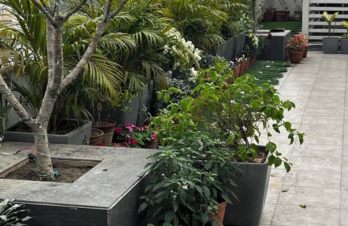 Bhowanipore Apartment | Charming 2-bedroom apartment with open terrace in central Kolkata with WiFi, AC