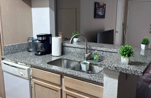Astrodome Apartment | Charming 2-bedroom apartment with fitness room, WiFi in marvelous Houston