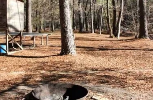 Wilkinson County Cabin | Charming 3-bedroom cabin in welcoming Crosby with WiFi, AC