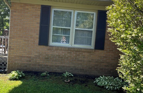Miracle House | Charming 3-bedroom house with WiFi, AC in Pineville Kentucky