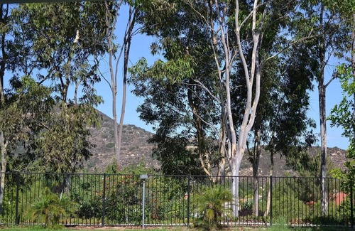 Murrieta House | Charming 3-bedroom house with great mtn view, AC, WIFI, in marvelous Murrieta