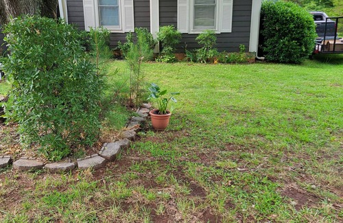 Jacksonville House | Charming 3-bedroom house in superb Jacksonville with AC, WiFi