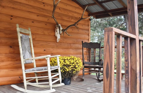 Williamsburg Cabin | Charming 3-bedroom rustic cabin with WiFi in wonderful Williamsburg