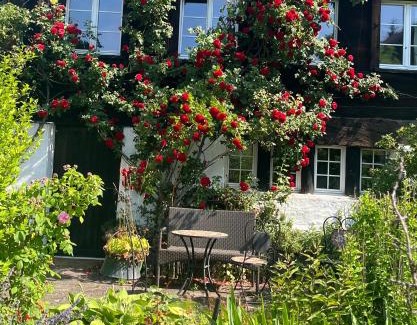 Eschenbach Apartment | Charming alps apartment perfect for walk/cycle/ski