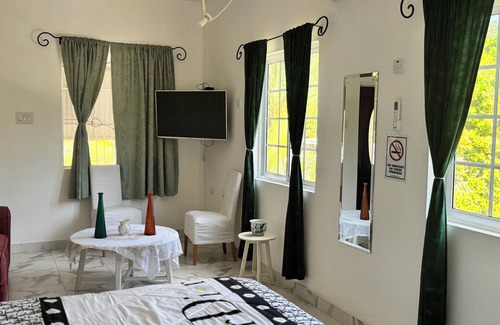 Porus Bed & Breakfast | Charming bed & breakfast with WiFi and AC in fabulous Clarendon Park