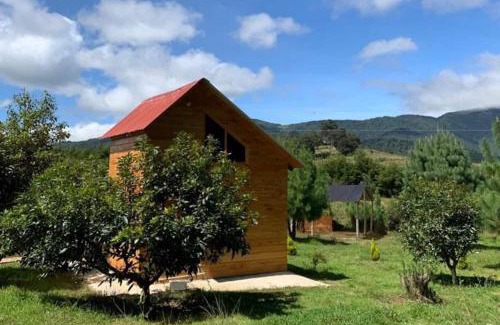 Tecpan Guatemala Ski Chalet | Charming cabin surrounded by nature