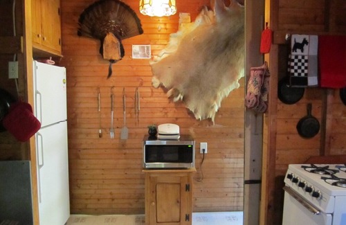 Naples Cottage | Charming cottage on the water, beautiful lawn, dog friendly, ideal for summer!