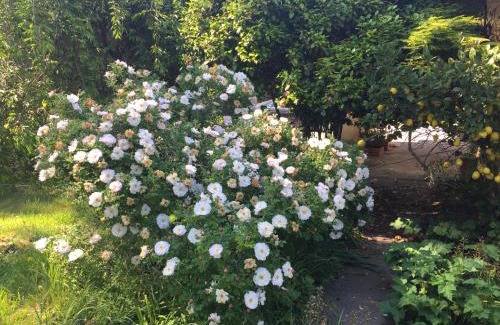 Rolleston House | Charming Country Paradise