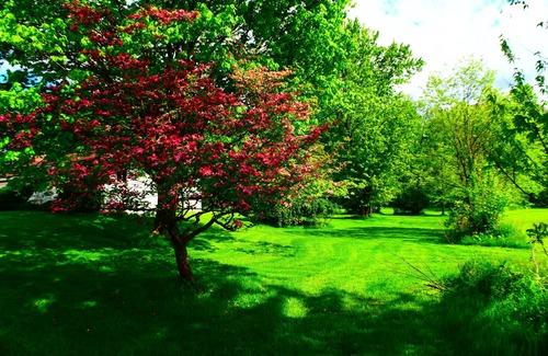 Grove City House | Charming Country Rustic home with upgraded amenities on a full acre.
