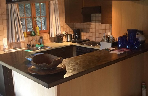 Zweisimmen Ski Chalet | Charming family-style Chalet with full view of the Rinderberg