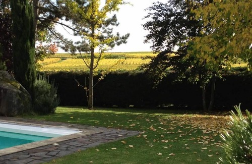 Wettolsheim Apartment | Charming gîte le loft des châteaux in the heart of the Alsace vineyards