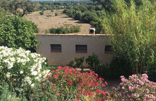 Serra-di-Fiumorbo House | CHARMING HOUSE CARLOTTINA- 5 min from the sea, in the countryside - quiet