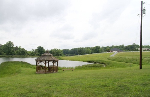 Kernersville Cottage | Charming Lakefront Cottage in Kernersville - Relax with nature!