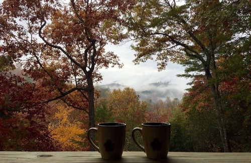 Bryson City Cabin | CHARMING LOG CABIN.Views.Secluded.Hot Tub.Game Room.Fire Pit.Close to Town