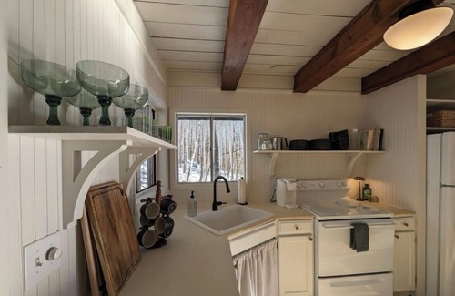 Flat Hollow Marina Cabin | Charming Norris Lake Cabin with views and boat slip @ Marina!