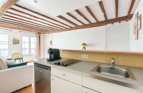 Saint-Thomas-d'Aquin Apartment | Charming Parisian apartment 1BR A/C