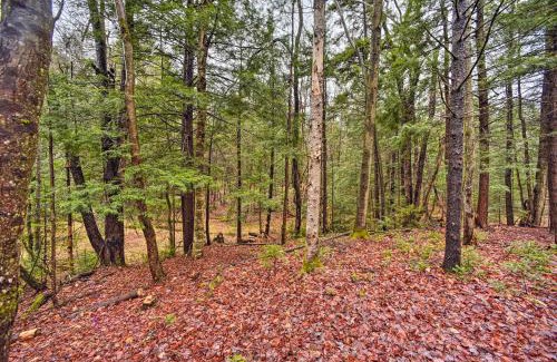 Town of Bleecker House | Charming Rural Retreat Great Sacandaga Lake Area!