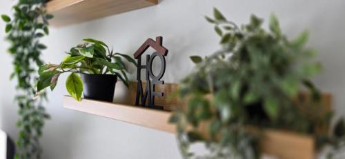 Parnu Apartment | Charming seaside escape