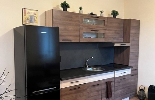 Pamporovo Apartment | Charming Ski-In Studio with Fireplace