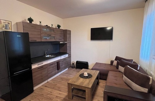 Pamporovo Apartment | Charming Ski-In Studio with Fireplace