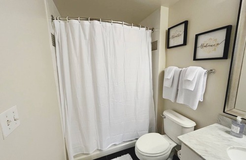 Downtown Apartment | Charming Studio Retreat in the Heart of Downtown Silver Spring, MD