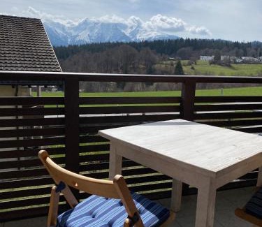 Flims Apartment | Charming studio with a view