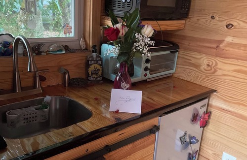 Sarasota Springs Cottage | Charming tiny house with AC and WiFi in delightful Sarasota.Private and quiet.