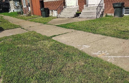 St. Louis House | Charming townhome with WiFi and AC in lovely St. Louis