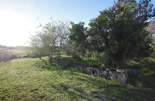 Souzay-Champigny House | Charming villa in the vineyards, 10 minutes from Saumur