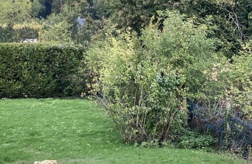 Buzancy Cottage | Charming Village House with Garden, Terrace, BBQ, WiFi, Near Historic Sites - Pet Friendly