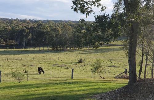 Mowbray Park House | Charolais Cottage