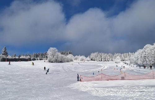 Cenkovice Ski Chalet | Chata Čenkovice