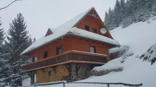 Vysna Boca Ski Chalet | Chata Alia