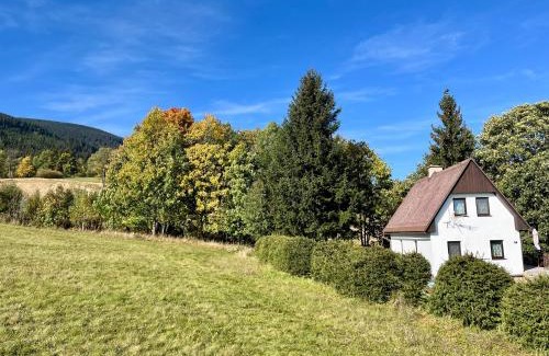 Hyncice pod Susinou Ski Chalet | Chata Goldovi