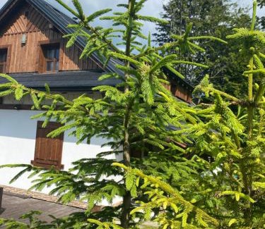 Oscadnica Ski Chalet | Chata Marguška - U Fera