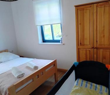 Stary Sacz House | Chata pod lasem