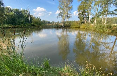 Golcuv Jenikov Apartment | Chata u rybníka