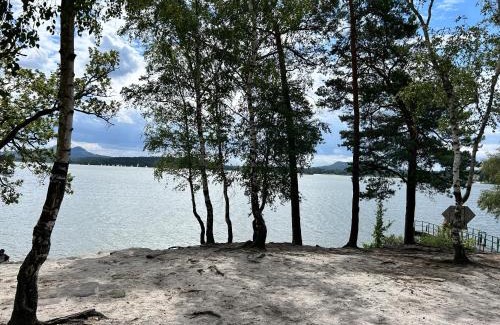 Stare Splavy Apartment | Chatky U Františka Máchovo jezero