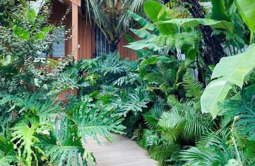 Buon Ma Thuot Hotel | Cherry HomeStay & coffee