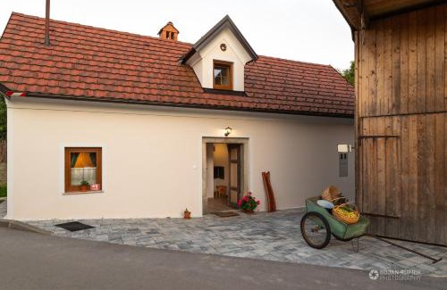 Kozarisce House | Cherry house - cosy house - ideal for bear watching, in the neighborhood of the medieval Snežnik castle