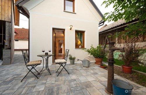 Kozarisce House | Cherry house - cosy house - ideal for bear watching, in the neighborhood of the medieval Snežnik castle