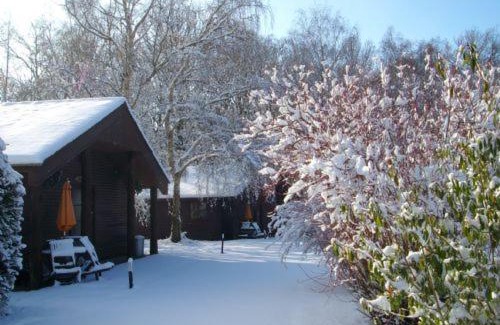 Ashford House | CHESNUT - 2 Bedroom Lodge