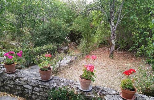 Frayssinet House | chez capy