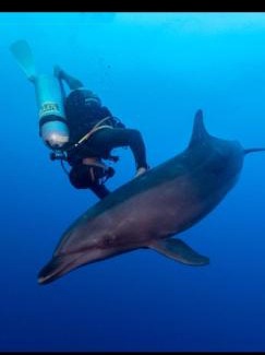 Rangiroa Bed & Breakfast | Chez Taia et Véro