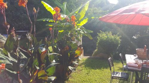 Folelli Bed & Breakfast | Chiapatella
