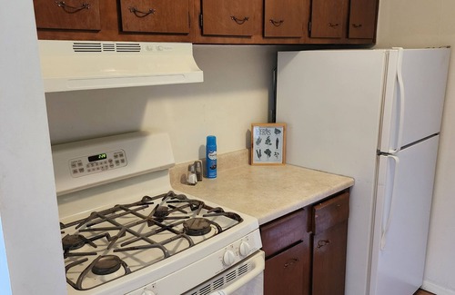 Mentor Apartment | Chic 1 Bd Great for Travel Professionals!