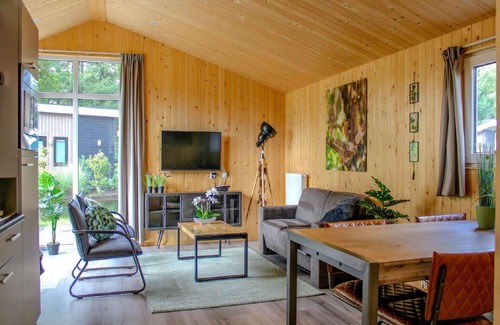 Bosgebied Hoenderloo Ski Chalet | Chic Chalet in Hoenderloo