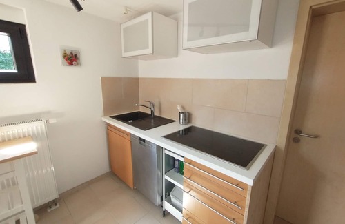 Alsheim Apartment | Chic dog-friendly apartment