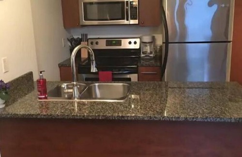 International District Condo | CHIC EXECUTIVE DOWNTOWN CONDO WITH FREE GARAGE PARKING NEAR THE OLD PORT !n